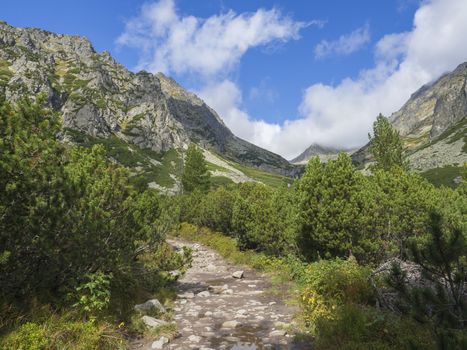 Footpath trail from Strbske Pleso, beautiful nature with pine trees and rocky montain peak, High Tatras mountain, Slovakia, late summer sunny day, blue sky background.