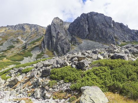 Beautiful sharp mountain peaks with pine trees, High Tatras mountain, Slovakia, late summer sunny day, blue sky background.