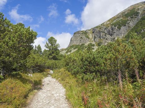 Footpath trail from Strbske Pleso, beautiful nature with pine trees and rocky montain peak, High Tatras mountain, Slovakia, late summer sunny day, blue sky background.