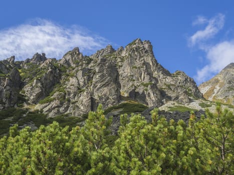 Beautiful sharp mountain peaks with pine trees, High Tatras mountain, Slovakia, late summer sunny day, blue sky background.