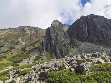 Beautiful sharp mountain peaks with pine trees, High Tatras mountain, Slovakia, late summer sunny day, blue sky background.