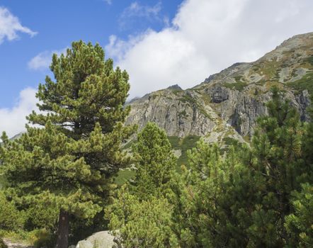 Beautiful sharp mountain peaks with pine trees and hiking route trail sign in High Tatras mountain, Slovakia, late summer sunny day, blue sky background.