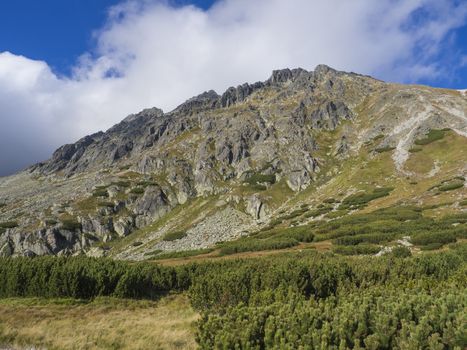 Beautiful sharp mountain peaks with pine trees, High Tatras mountain, Slovakia, late summer sunny day, blue sky background.