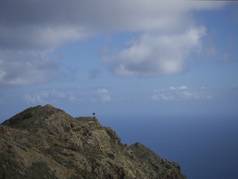 bare lava rock cliff with single draceana tree blue sea horizon and sky with white clouds