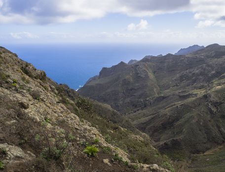 lava rock cliff with small green vegetation, blue sea horizon and sky with white clouds in anaga mountain tenerife