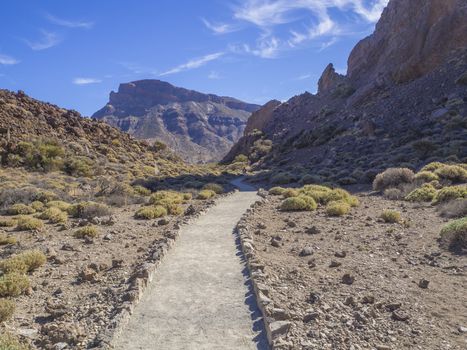 footpath with lonely hiker on the path around famous pitoresque rock formation Roques de Garcia with view on colorful volcano mountains in el teide natural park in Tenerife, blue sky background