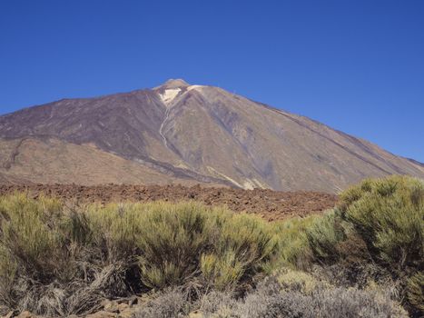 view on colorful volcano pico del teide highest spanish mountain in tenerife canary island with green bushes and clear blue sky background 