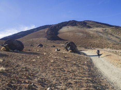 desert volcanic landscape with lonely hiker climbing on volcano pico del teide with Huevos del Teide (Eggs of Teide) accretionary lava balls on clear blue sky background