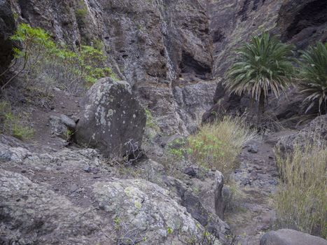 Canary Island, Tenerife,  view on canyon Masca valley with rock, big stones, green tropical bush vegetation and blue sky background