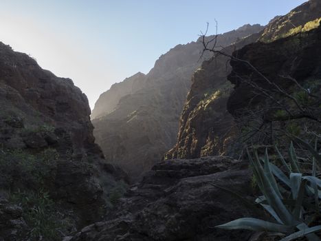 Canary Island, Tenerife, canyon Masca valley gorge with rocks, aloe vera, green tropical bush vegetation and blue sky background against the sun light
