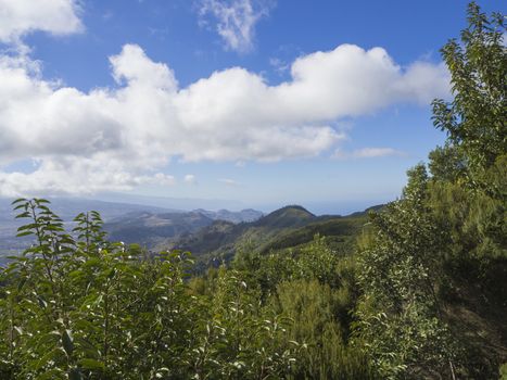 view point in anaga mountain sharp peaks with green cypress bush and blue sky white clouds background, tenerife  canary island spain