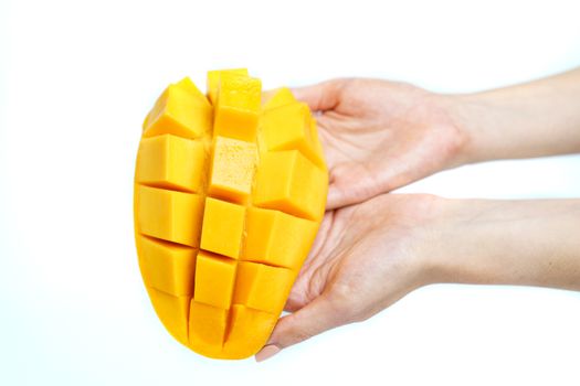 Hand with Yellow mango and mango slice on cubes isolated white isolated background , Hands
