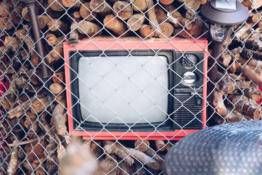 old retro vintage tv television decorating with tree branch