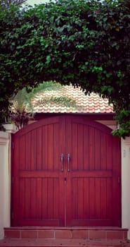 brown wooden door with green leaves on arch