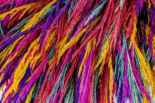 close up colorful dried flowers