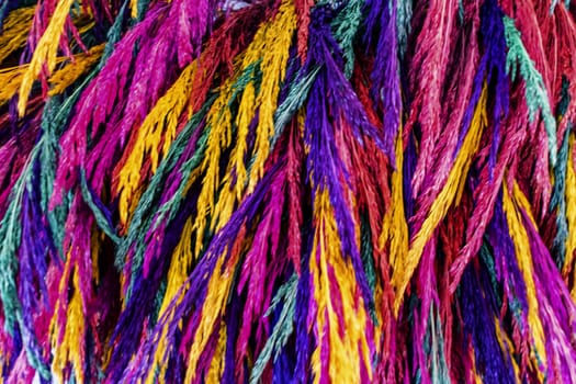 close up colorful dried flowers