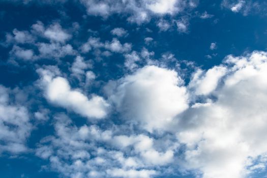Blue sky dotted with white clouds, like cotton.