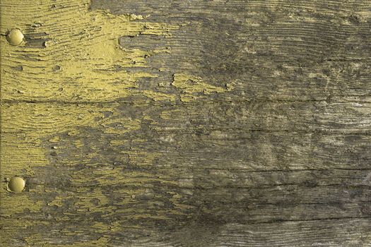Front view of a wooden board with green grunge paint.