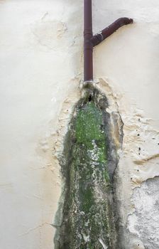 Rain water on the wall causing mold and peeling paint.