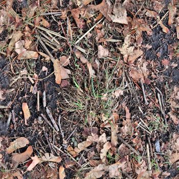 Photo realistic seamless texture pattern of autumn leaves on a forest ground