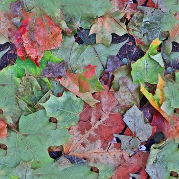 Photo realistic seamless texture pattern of autumn leaves on a forest ground