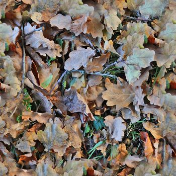 Photo realistic seamless texture pattern of autumn leaves on a forest ground