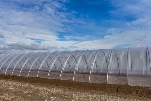 Greenhouse tunnel from polythene plastic on an agricultural field against the blue sky