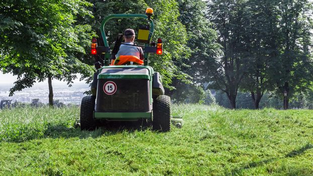 Male using lawn mower and cutting grass. Around him a green landscape.