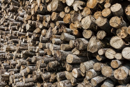 Background of a big pile of wooden logs. Stock for the winter.