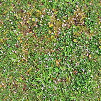 Photo realistic seamless grass texture in high resolution with more than 6 megapixel