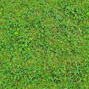 Photo realistic seamless grass texture in high resolution with more than 6 megapixel