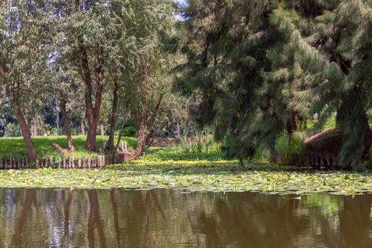 Landscape of the Cuemanco canal in Xochimilco, Mexico City. Calm river. Trajineras. Xochimilco. CDMX. The river flows in spring through the woods