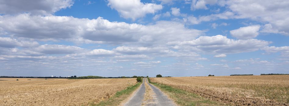 corn fields and country road in the north of france near Amiens