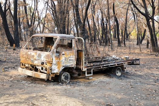 A destroyed truck amongst burnt gum trees after a severe bushfire in The Blue Mountains in Australia