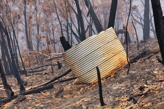 A water tank and gum trees burnt by bushfire in The Blue Mountains in Australia