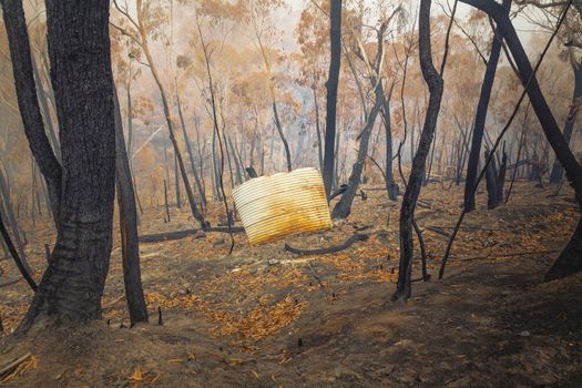 A water tank and gum trees burnt by severe bushfire in The Blue Mountains in Australia