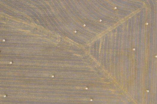 Aerial view of rolled hay bales in an agricultural field in regional Australia