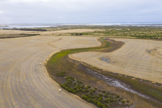 Aerial view of rolled hay bales in an agricultural field in regional Australia