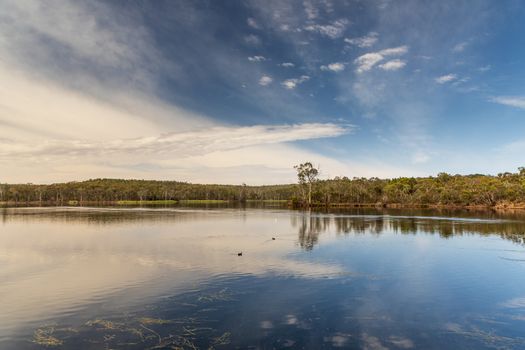 A large fresh water reservoir surrounded by bushland in regional Australia