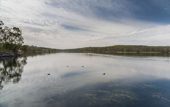 A large fresh water reservoir surrounded by bushland in regional Australia