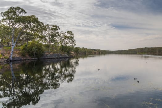 A large fresh water reservoir surrounded by bushland in regional Australia