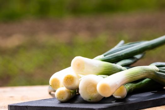 Close up of details of fresh green onions (scallion) on a cutting board isolated.