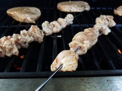 raw chicken meat on metal skewer on barbecue grill