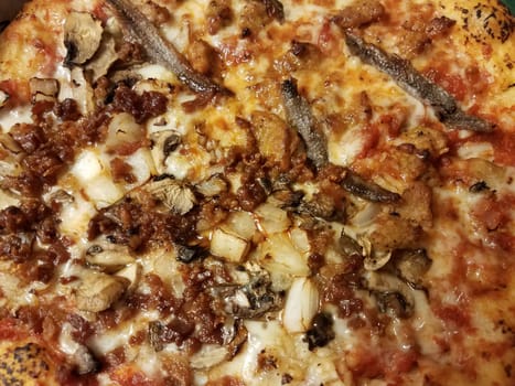 pizza with bacon and onion and anchovie fish and cheese