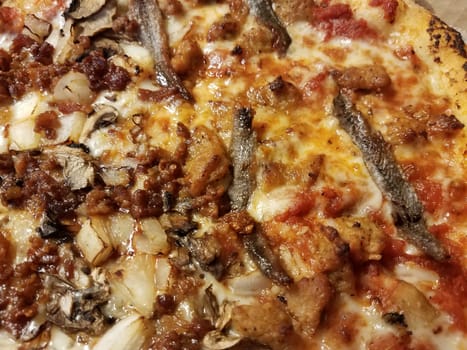 pizza with bacon and onion and anchovie fish and cheese