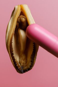 vagina symbol, mussel and pink vibrating sex toy on red background. Concept masturbation