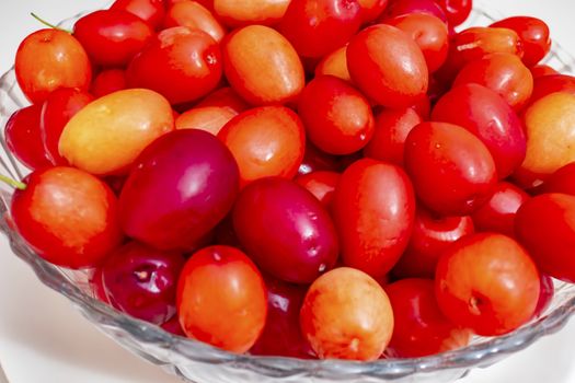 cranberry fruits in decorative plate