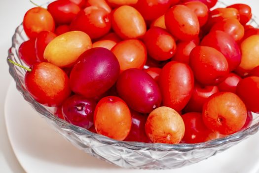 cranberry fruits in decorative plate