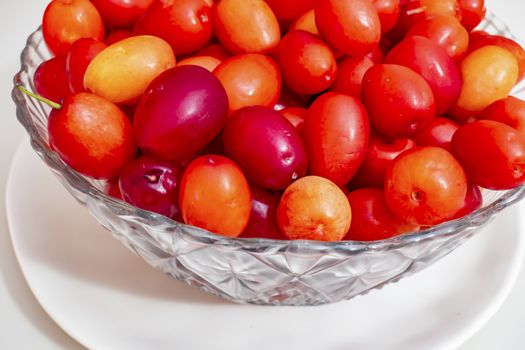 cranberry fruits in decorative plate