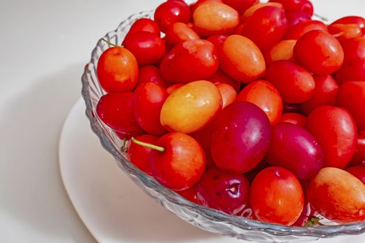 cranberry fruits in decorative plate